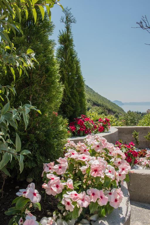 Villa Stefanoski Konjsko Exteriér fotografie